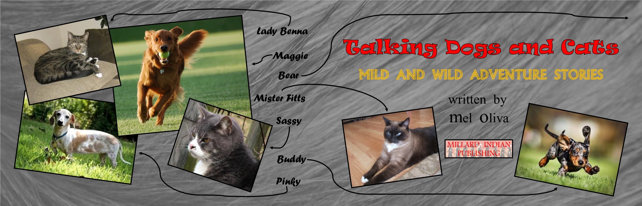 Talking Cats and Dogs