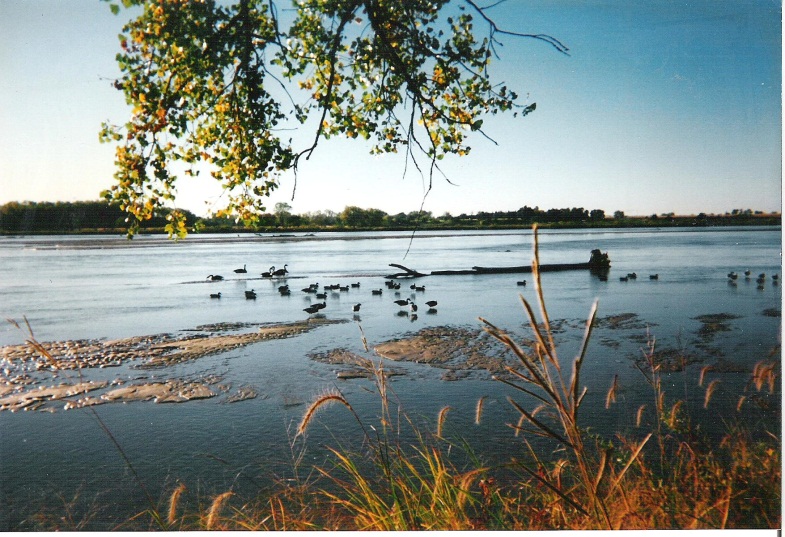 View of decoy spread at the KMS hunting site.  The low water level of the Platte River exposes higher contoured sandbars.