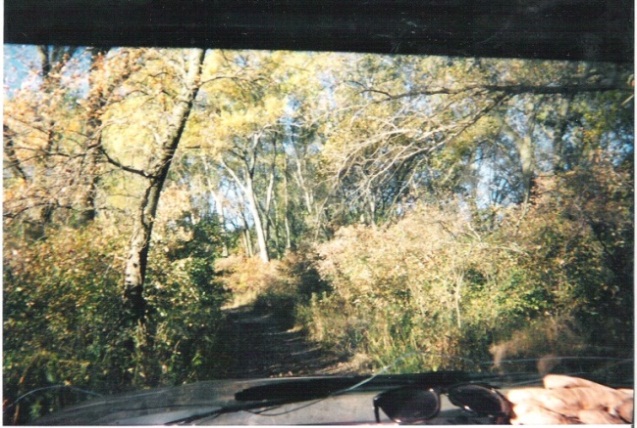 View through windshield of alley at KMS hunting site.