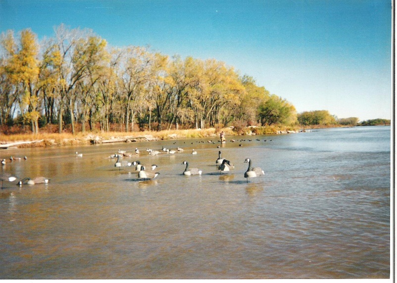 Decoy spread on the Platte River at the KMS hunting site.