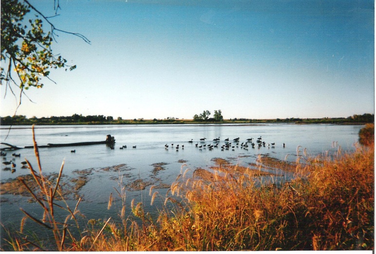 View of decoy spread in extremely low water of the Platte River at the KMS hunting site.