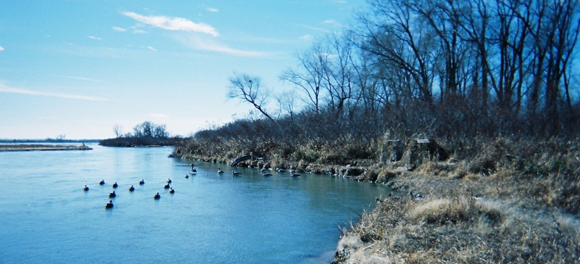 The “River Point” area is approximately a quarter-mile up-river. From this vantage point, it looks like an island off in the distance with trees.